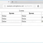 HTML / Tutorial / 표(table)